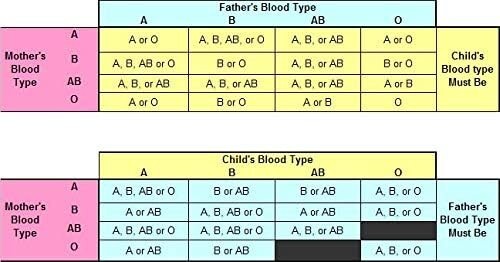 EldonCard Blood Typing Test Kit, 5-Pack