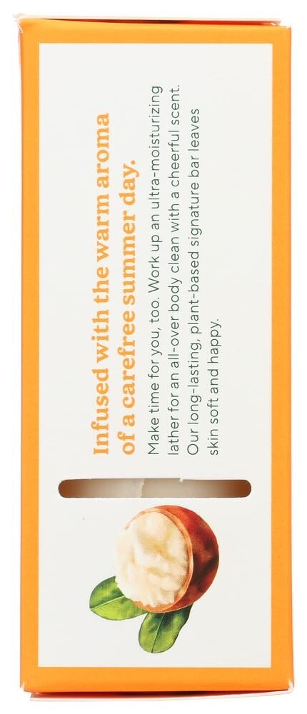 South of France French Milled Bar Soap Shea Butter - 6 oz (3 Pack)